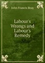 Labour.s Wrongs and Labour.s Remedy - John Francis Bray