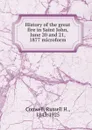History of the great fire in Saint John, June 20 and 21, 1877 microform - Conwell Russell Herman