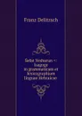 Sefat Yeshurun .: Isagoge in grammaticam et lexicographiam linguae Hebraicae . - Franz Julius Delitzsch