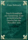 Durch Krankheit zur Genesung: Eine jerusalemische Geschichte der Herodier-zeit - Franz Julius Delitzsch