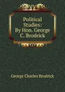 Political Studies: By Hon. George C. Brodrick - George Charles Brodrick