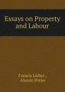 Essays on Property and Labour - Francis Lieber