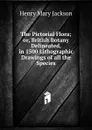 The Pictorial Flora; or, British Botany Delineated, in 1500 Lithographic Drawings of all the Species - Henry Mary Jackson