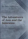 The Adventures of Ann and the Jamesons - Mary Eleanor Wilkins Freeman