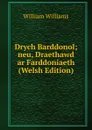 Drych Barddonol; neu, Draethawd ar Farddoniaeth (Welsh Edition) - William Williams