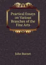 Practical Essays on Various Branches of the Fine Arts - John Burnet