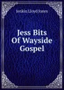 Jess Bits Of Wayside Gospel - Jenkin Lloyd Jones