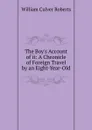 The Boy.s Account of it: A Chronicle of Foreign Travel by an Eight-Year-Old - William Culver Roberts