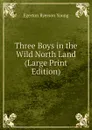 Three Boys in the Wild North Land (Large Print Edition) - Egerton Ryerson Young