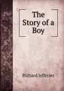 The Story of a Boy - Richard Jefferies