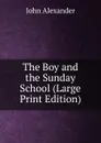 The Boy and the Sunday School (Large Print Edition) - John Alexander