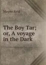 The Boy Tar; or, A voyage in the Dark - Reid Mayne