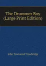 The Drummer Boy (Large Print Edition) - J. T. Trowbridge