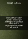 Flora of Worcester County; a catalogue of the phaenogamous and vascular cryptogamous plants of Worce - Joseph Jackson
