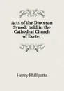 Acts of the Diocesan Synod: held in the Cathedral Church of Exeter - Henry Phillpotts