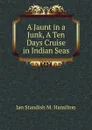 A Jaunt in a Junk, A Ten Days Cruise in Indian Seas - Ian Standish M. Hamilton