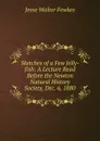 Sketches of a Few Jelly-fish: A Lecture Read Before the Newton Natural History Society, Dec. 6, 1880 - Fewkes Jesse Walter