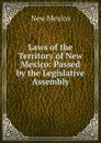 Laws of the Territory of New Mexico: Passed by the Legislative Assembly - New Mexico