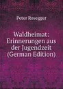 Waldheimat: Erinnerungen aus der Jugendzeit (German Edition) - P. Rosegger