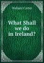 What Shall we do in Ireland. - Wallace Carter