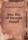 Jess: Bits of Wayside Gospel - Jenkin Lloyd Jones