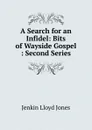 A Search for an Infidel: Bits of Wayside Gospel : Second Series - Jenkin Lloyd Jones