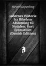 J.dernes Historie fra Bibelens Afslutning til Nutiden: Kort Fremstillet (Danish Edition) - Meyer Kayserling