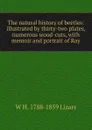 The natural history of beetles: illustrated by thirty-two plates, numerous wood-cuts, with memoir and portrait of Ray - W H. 1788-1859 Lizars