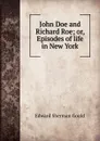 John Doe and Richard Roe; or, Episodes of life in New York - Edward Sherman Gould