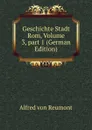 Geschichte Stadt Rom, Volume 3,.part 1 (German Edition) - Alfred von Reumont