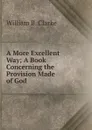 A More Excellent Way; A Book Concerning the Provision Made of God - William B. Clarke