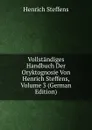 Vollstandiges Handbuch Der Oryktognosie Von Henrich Steffens, Volume 3 (German Edition) - Henrich Steffens
