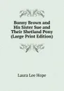 Bunny Brown and His Sister Sue and Their Shetland Pony (Large Print Edition) - Hope Laura Lee