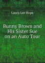 Bunny Brown and His Sister Sue on an Auto Tour - Hope Laura Lee