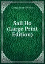Sail Ho (Large Print Edition) - Fenn George Manville