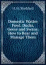 Domestic Watter Fowl. Ducks, Geese and Swans. How to Rear and Manage Them. - H.H. Stoddard