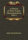 A History of West Gower, Glamorganshire, Part I - John David Davies