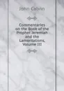 Commentaries on the Book of the Prophet Jeremiah and the Lamentations, Volume III - John Calvin