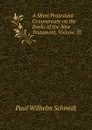 A Short Protestant Commentary on the Books of the New Testament, Volume III - Paul Wilhelm Schmidt