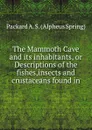 The Mammoth Cave and its inhabitants, or Descriptions of the fishes,insects and crustaceans found in - A.S. Packard