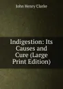 Indigestion: Its Causes and Cure (Large Print Edition) - John Henry Clarke