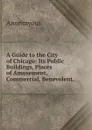 A Guide to the City of Chicago: Its Public Buildings, Places of Amusement, Commercial, Benevolent, - Anonmyous