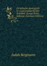 JA 1/4 dische Apologetik in neutestamentlichen Zeitalter (Large Print Edition) (German Edition) - Judah Bergmann