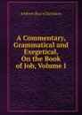 A Commentary, Grammatical and Exegetical, On the Book of Job, Volume I - A.B. Davidson