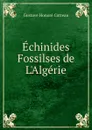 Echinides Fossilses de L.Algerie - Gustave Honoré Cotteau