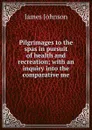 Pilgrimages to the spas in pursuit of health and recreation; with an inquiry into the comparative me - James Johnson