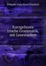 Kurzgefasste Irische Grammatik, mit Lesestucken - Wilhelm Oscar Ernst Windisch