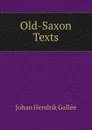 Old-Saxon Texts - Johan Hendrik Gallée