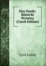 Slzy Osudu: Basnicke Prvotiny (Czech Edition) - Cyril Gallay