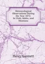 Meteorological Observations During the Year 1872: In Utah, Idaho, and Montana - Gannett Henry